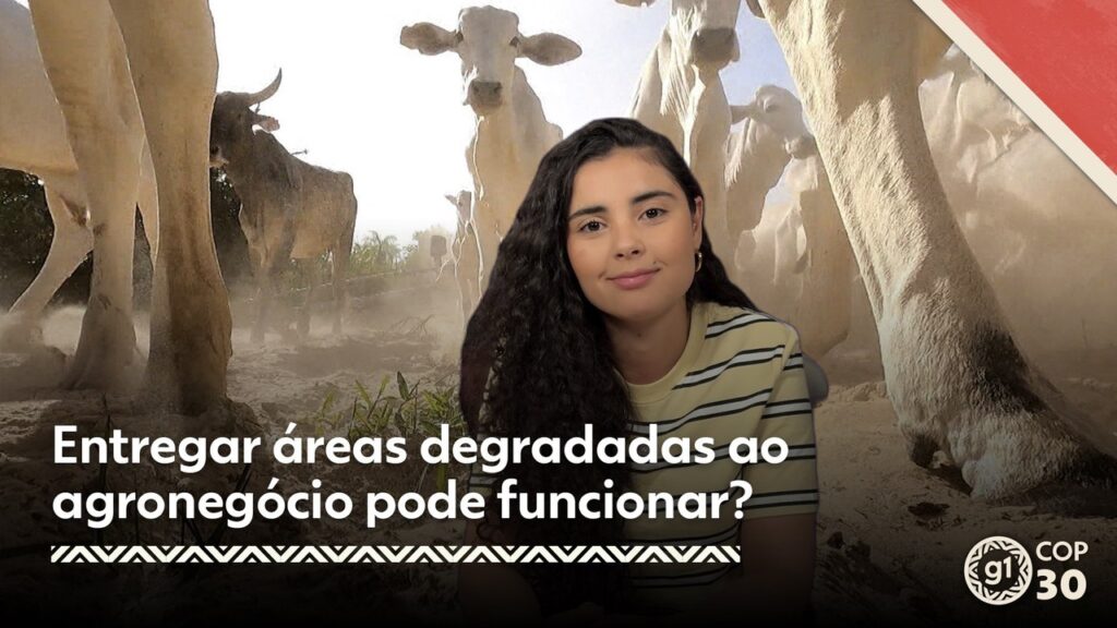 Imagem do artigo