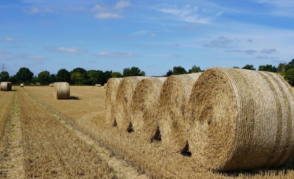 Brasil Expande Acesso do Agronegócio a Novos Mercados Internacionais