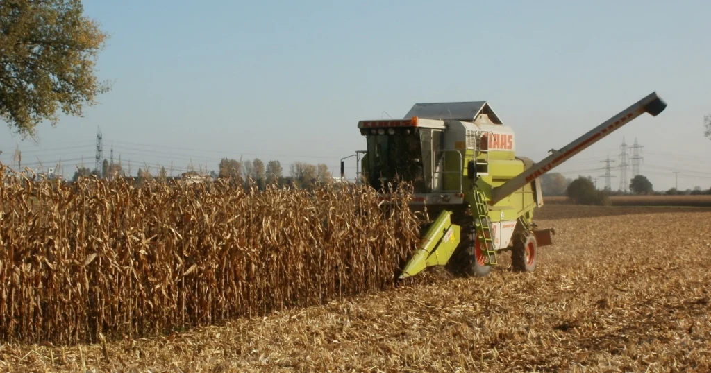 CMN Adia Nova Regra Ambiental para Crédito Rural: Entenda as Mudanças