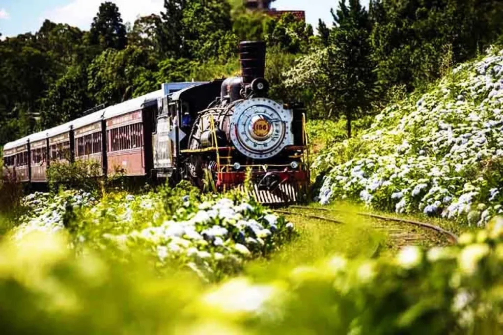 Descubra Roteiros Incríveis: Passeios de Trem pelo Brasil que Encantam