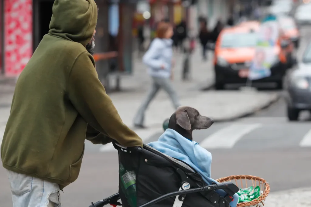 Temperatura em Curitiba Cai Abaixo dos 20 ºC – Prepare-se para o Frio Imagem do artigo