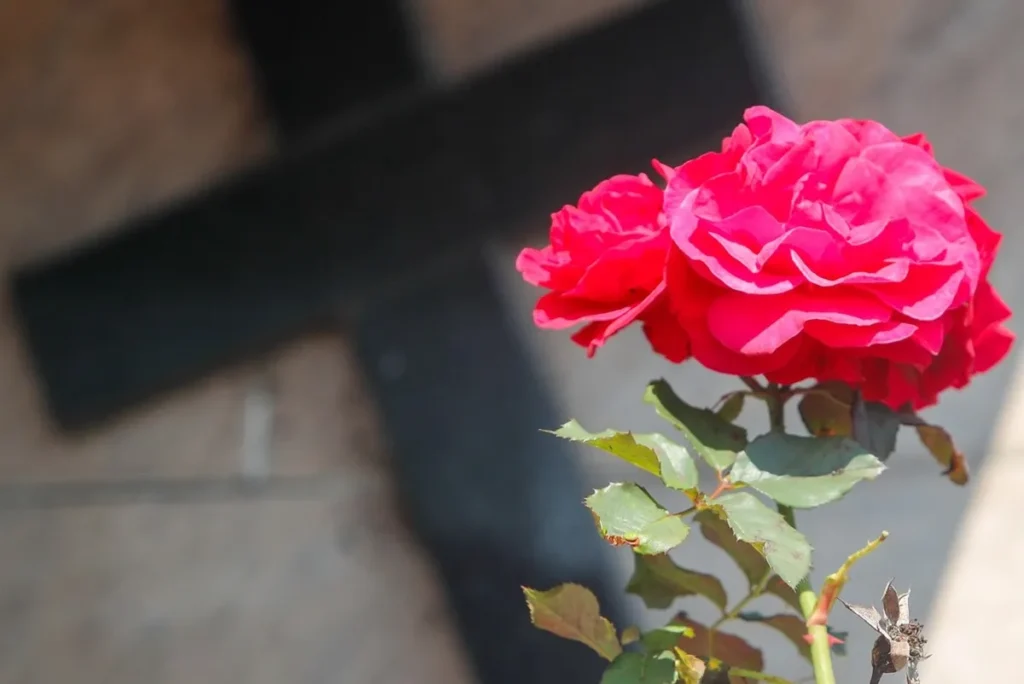 Obituário de Curitiba: Lamentações e Despedidas do Dia 24 de Dezembro de 2025