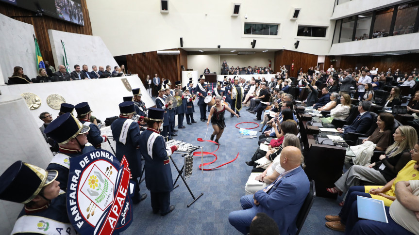 Assembleia Legislativa do Paraná Presta Homenagem a Instituições de Educação Especial Imagem do artigo