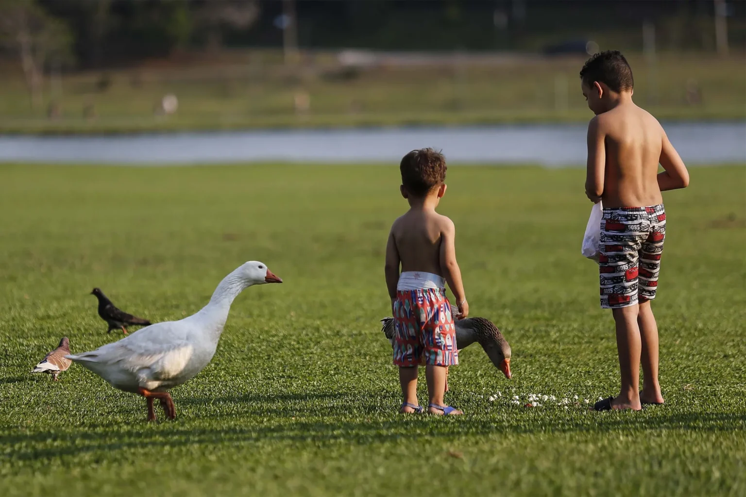 Verão Começa Neste Domingo com Calor Intenso em Curitiba e Litoral