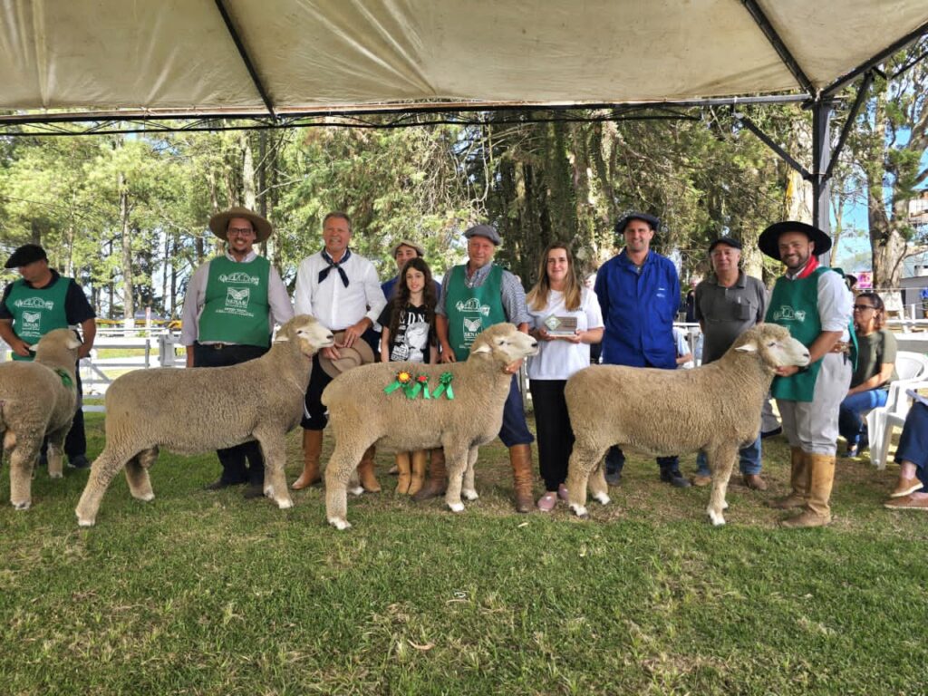 42ª Feovelha: Um Grande Evento para o Agronegócio e Entretenimento