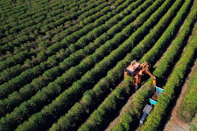 BRDE Registra R$ 1,26 Bilhão em Contratações no Agronegócio do Paraná em 2025 BRDE Registra R$ 1,26 Bilhão em Contratações no Agronegócio do Paraná em 2025
