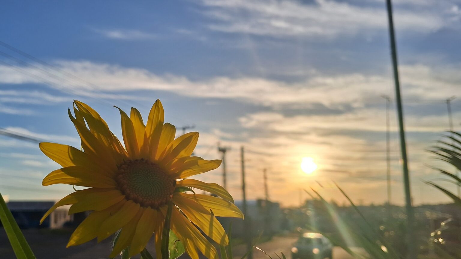 Domingo Ensolarado e Sem Chuva em Cascavel: Expectativas para o Clima