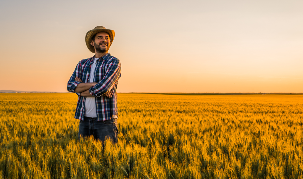 Estratégias para Minimizar Riscos e Maximizar Rentabilidade no Agronegócio Estratégias para Minimizar Riscos e Maximizar Rentabilidade no Agronegócio