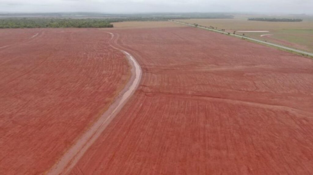 FCO Investe R$ 3,2 Bilhões em Mato Grosso do Sul, Com 75% Destinados ao Agronegócio