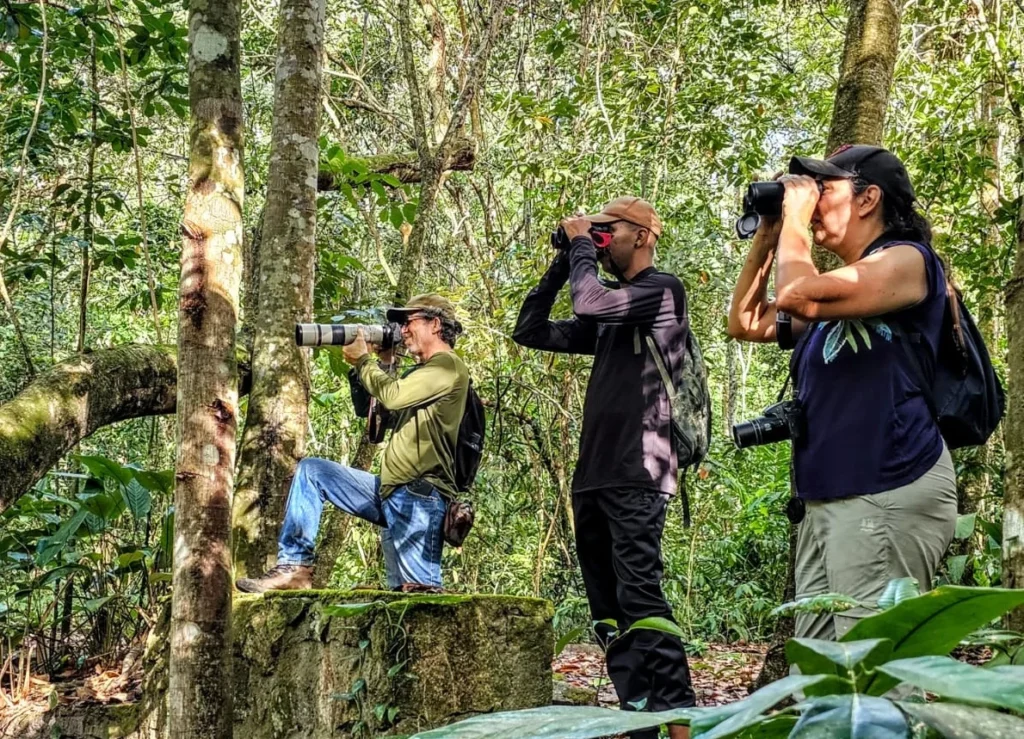 Pernambuco Investe em Turismo de Observação de Aves para Desenvolvimento Sustentável