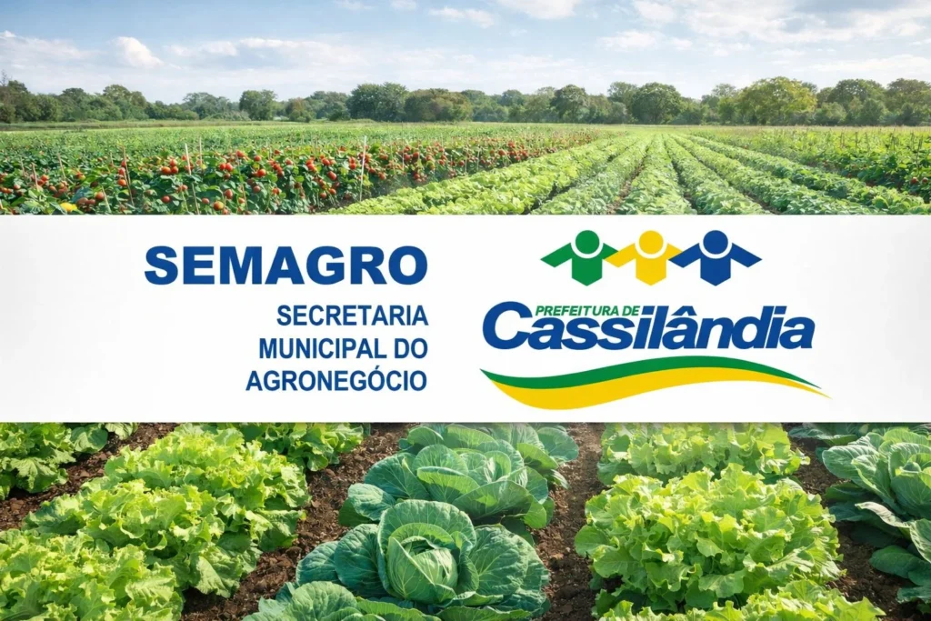 Pesquisa de Mercado Hortifruti em Cassilândia: Fortalecendo o Agronegócio Local Pesquisa de Mercado Hortifruti em Cassilândia: Fortalecendo o Agronegócio Local