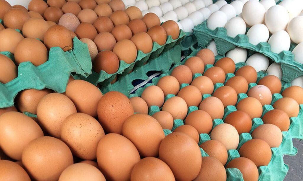 Preços de Alimentos e Bebidas no Paraná Sofrem Queda pela Segunda Vez em Dezembro Preços de Alimentos e Bebidas no Paraná Sofrem Queda pela Segunda Vez em Dezembro