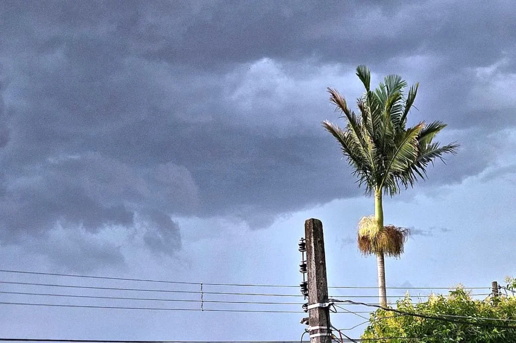 Previsão do Tempo em Curitiba: Um Domingo Chuvoso e Ameno