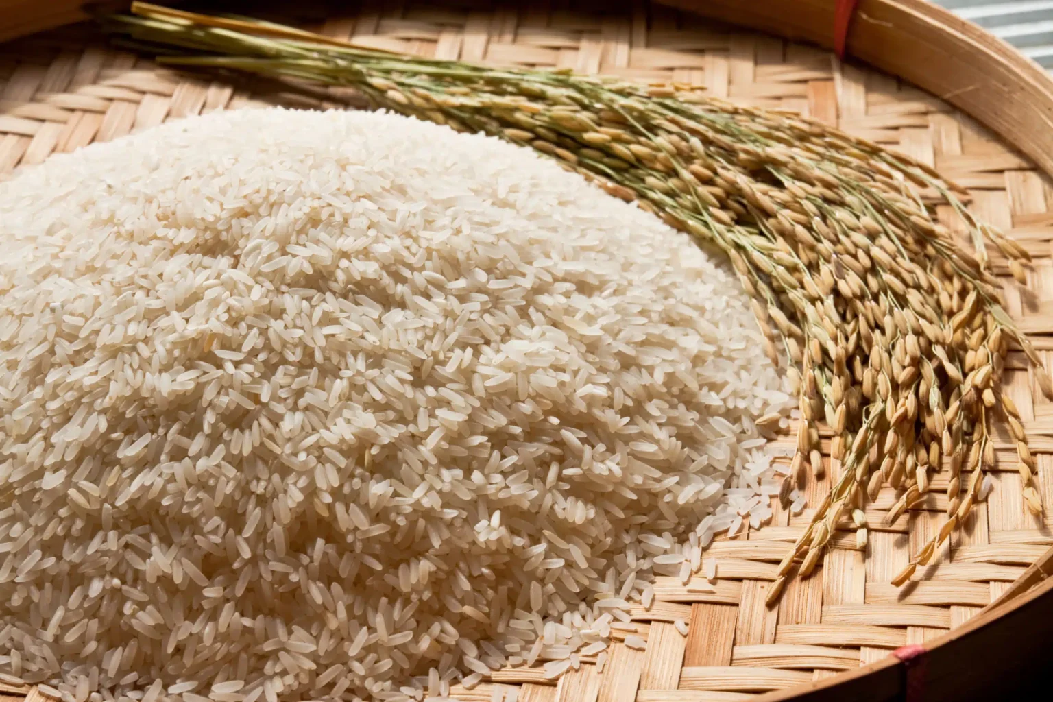 Produção de Arroz Enfrenta Queda Após Nove Anos de Crescimento: Expectativas para 2025/26