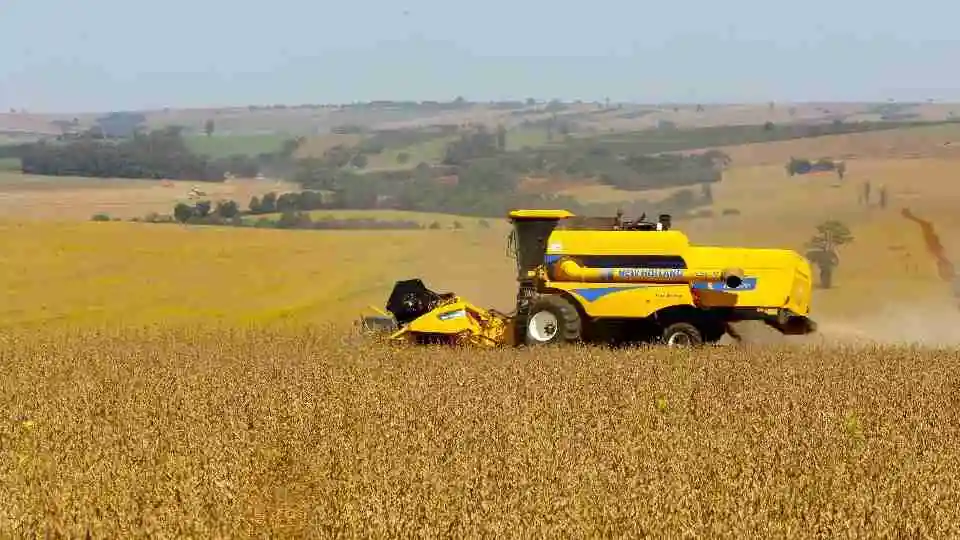 Safra de Soja do Paraná Rumo ao Recorde: Otimismo no Agronegócio Safra de Soja do Paraná Rumo ao Recorde: Otimismo no Agronegócio