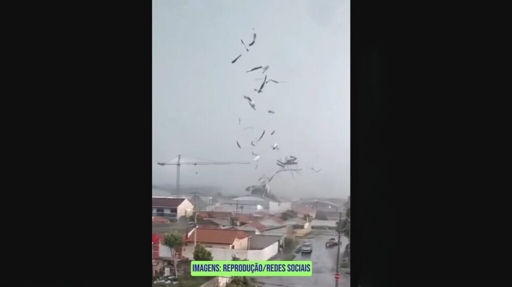 Tornado Devasta São José dos Pinhais: Ventos Fortes Causam Destruição