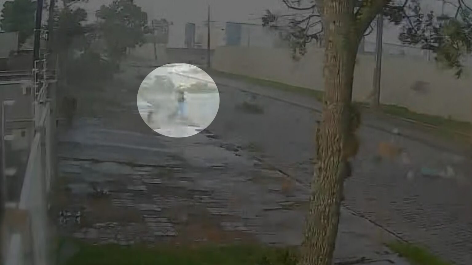 Tornado em Piraquara: Jovem e Cachorro Registrados em Vídeo Impressionante