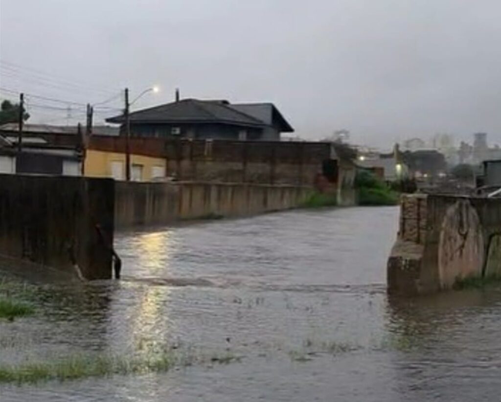 Alagamentos e Queda de Árvores em Curitiba: A Intensidade da Chuva