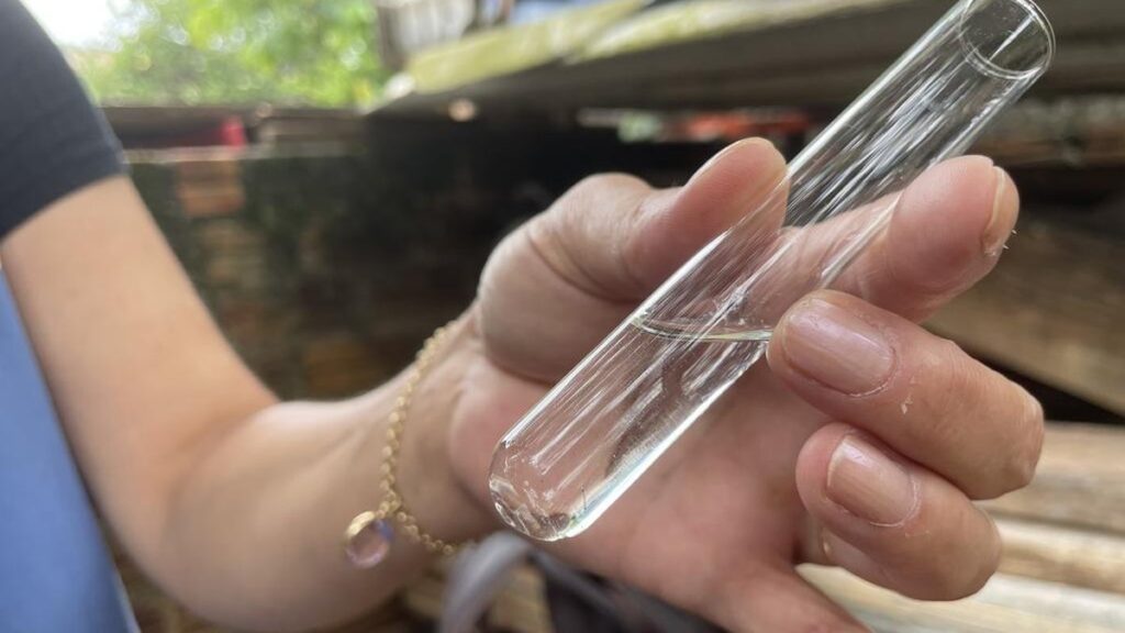 Aumento de Focos do Mosquito da Dengue em Rio Grande: Entenda a Situação Aumento de Focos do Mosquito da Dengue em Rio Grande: Entenda a Situação