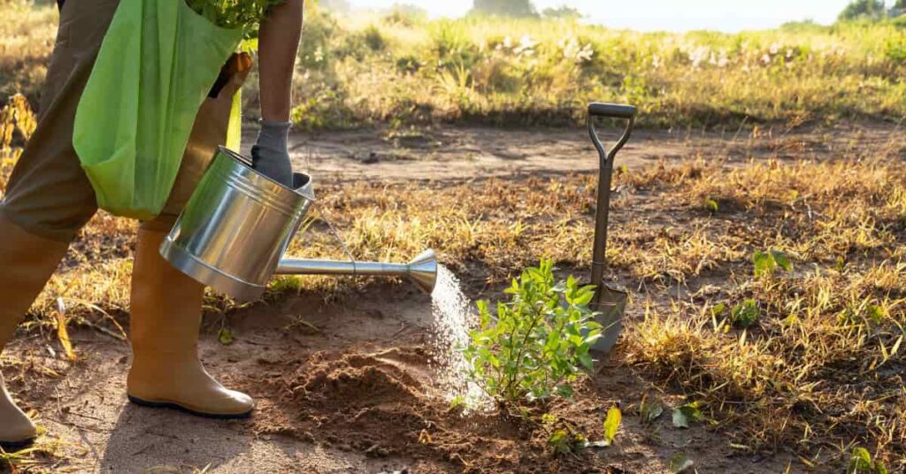 Aumento no Consumo de Água no Agronegócio: Desafios Hídricos para Carne e Soja Aumento no Consumo de Água no Agronegócio: Desafios Hídricos para Carne e Soja