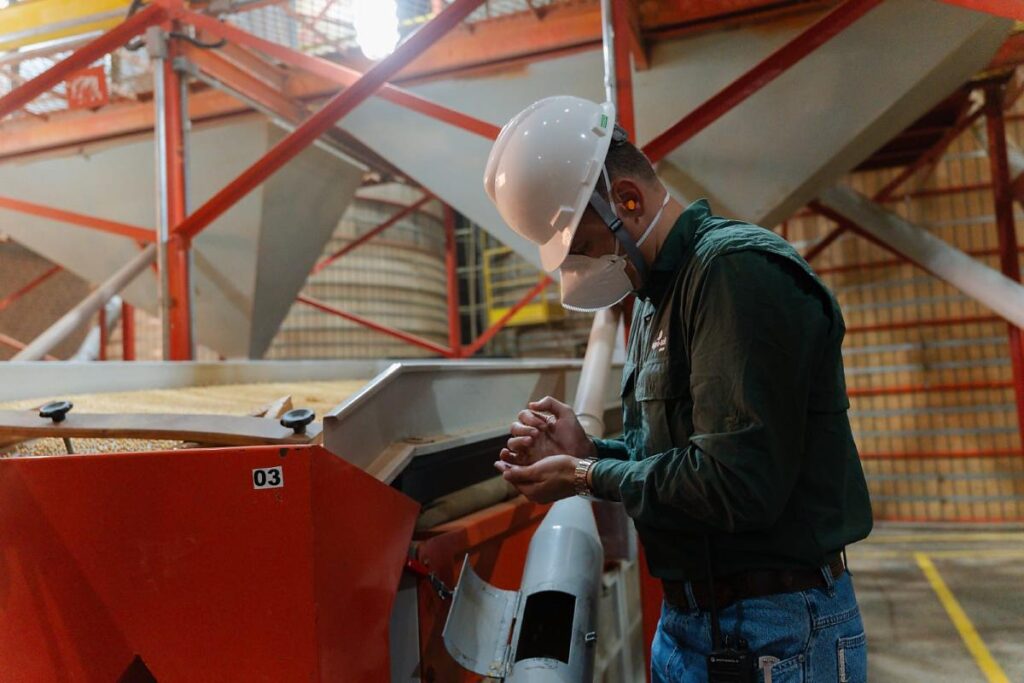 Beneficiamento de Sementes Impulsiona Safra de Soja em Mato Grosso