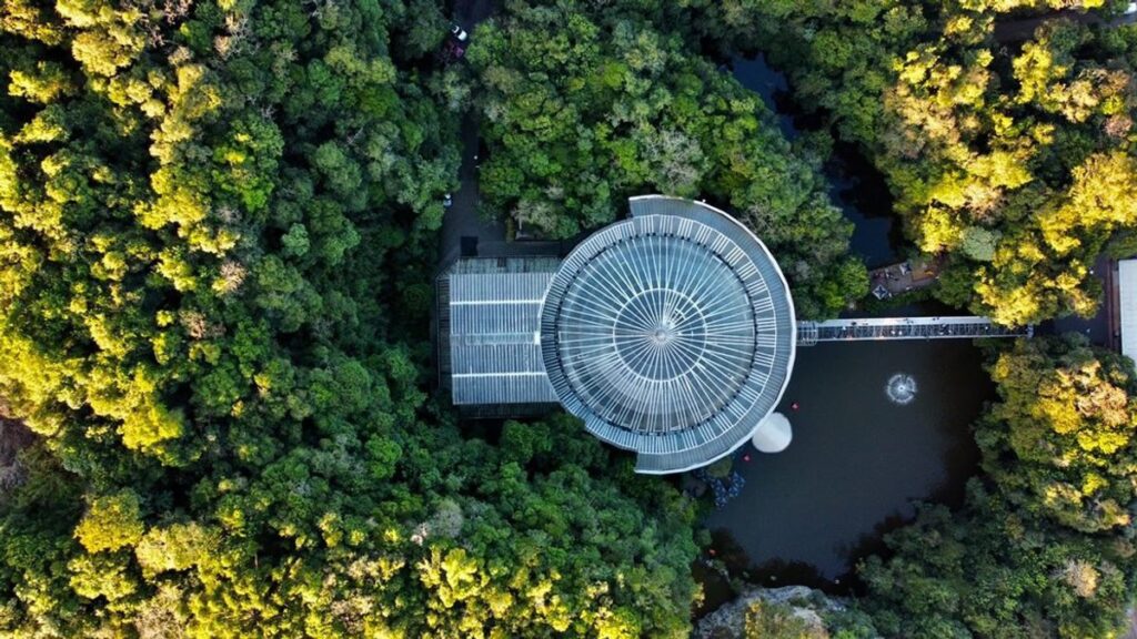 Carnaval em Curitiba: A Beleza dos Parques e a Cultura Vibrante da Cidade Carnaval em Curitiba: A Beleza dos Parques e a Cultura Vibrante da Cidade