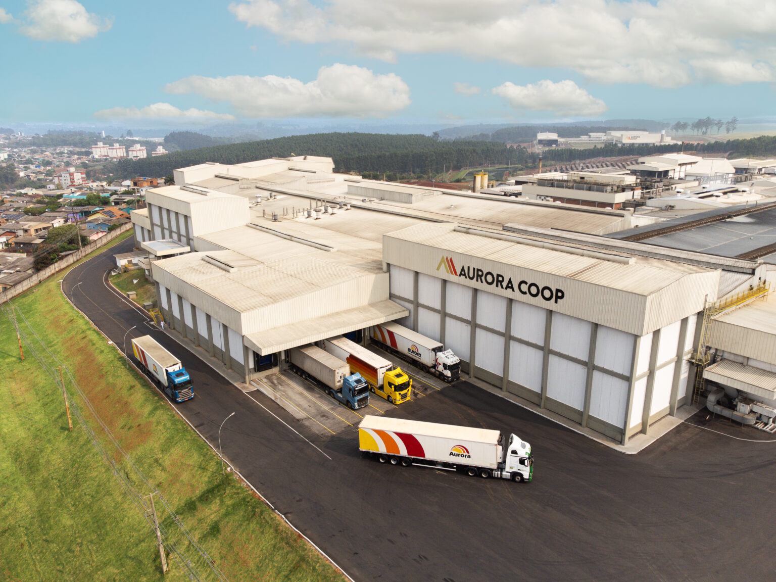 Cooperativismo Impulsiona Gigantes no Agronegócio Brasileiro Cooperativismo Impulsiona Gigantes no Agronegócio Brasileiro