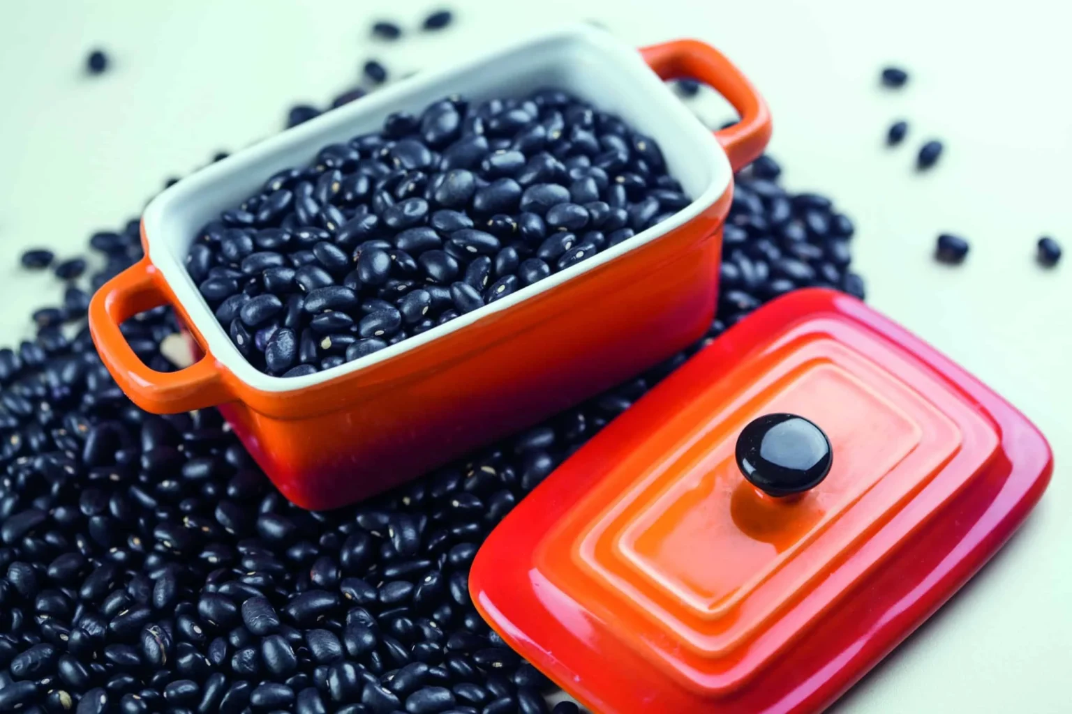 Cotações do Feijão Disparam no Final de Janeiro: Entenda os Motivos