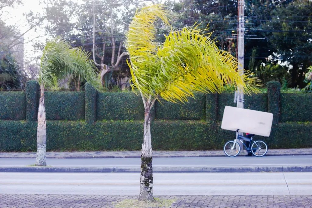 Curitiba Enfrenta Ventos Fortes e Rajadas de Até 77 km/h no Paraná