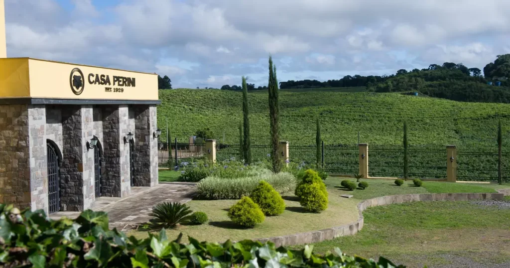 Descubra a Saga da Uva: Imersão Cultural na Casa Perini