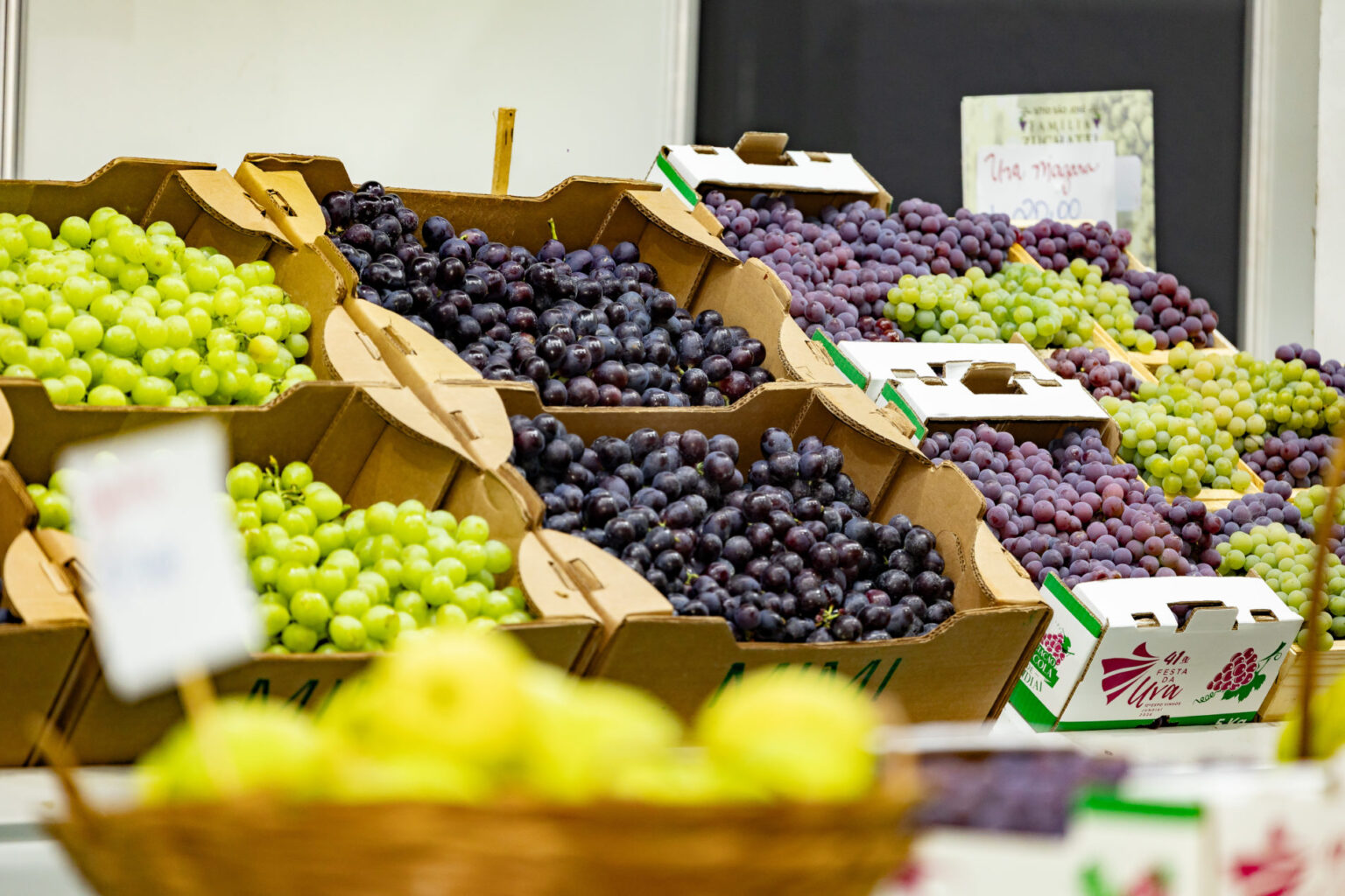 Festa da Uva 2026: Último Fim de Semana Celebra Tradições e Oportunidades em Jundiaí
