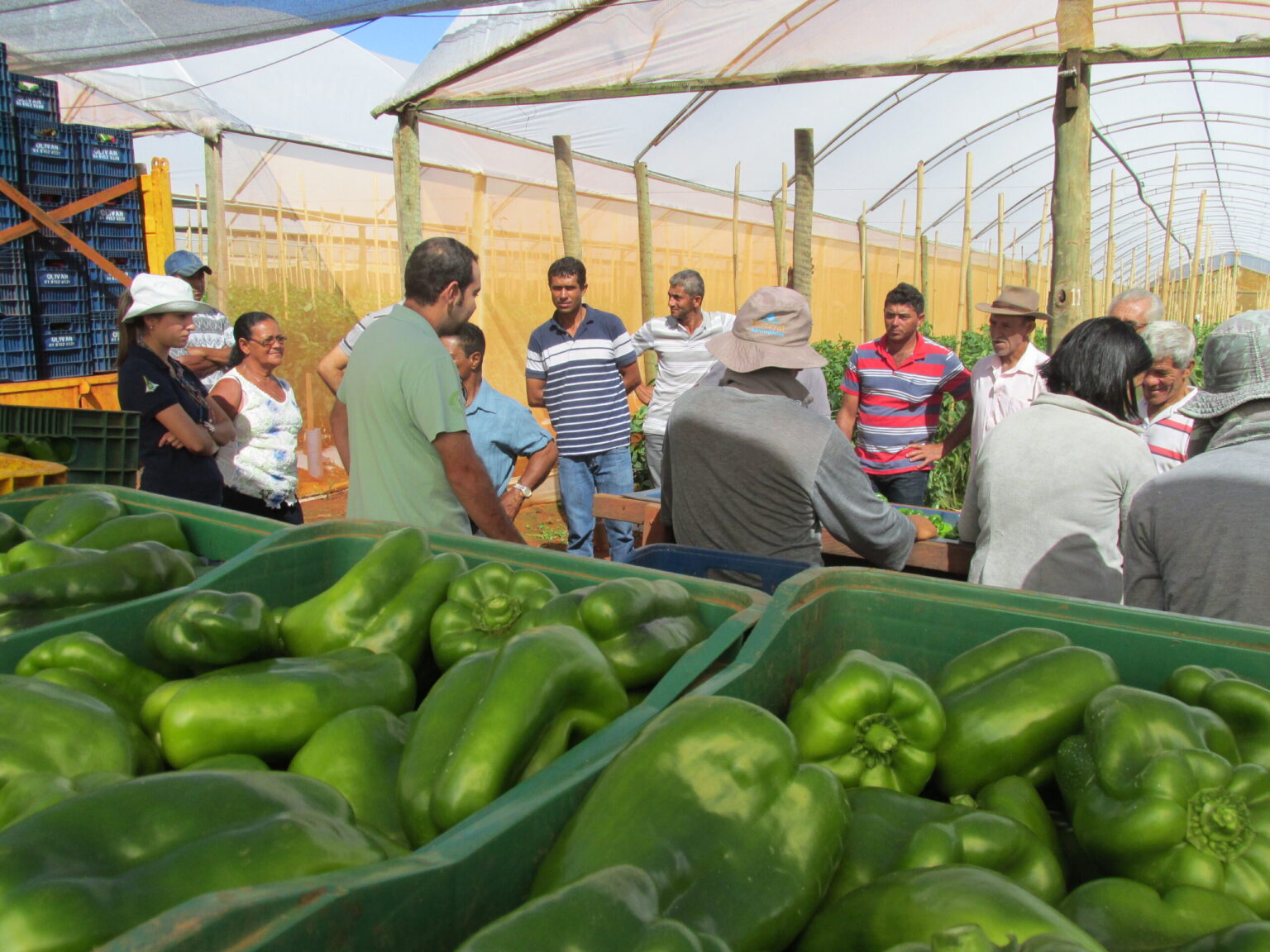 Inscrições Abertas para Curso Gratuito de Gestão no Agronegócio da Emater-DF Inscrições Abertas para Curso Gratuito de Gestão no Agronegócio da Emater-DF