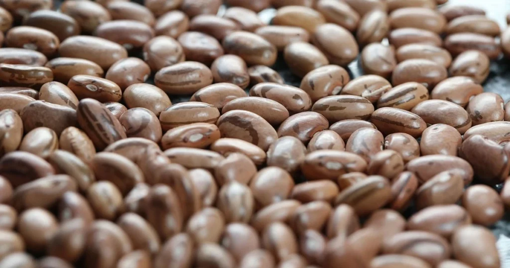 Melhora na Margem do Produtor de Feijão em 2026: Impactos dos Preços Recuperados Melhora na Margem do Produtor de Feijão em 2026: Impactos dos Preços Recuperados