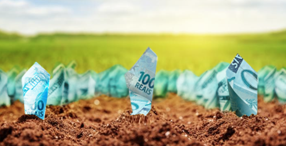 Mudanças Financeiras Ameaçam Acesso ao Crédito Rural e Impactam o Agronegócio Mudanças Financeiras Ameaçam Acesso ao Crédito Rural e Impactam o Agronegócio