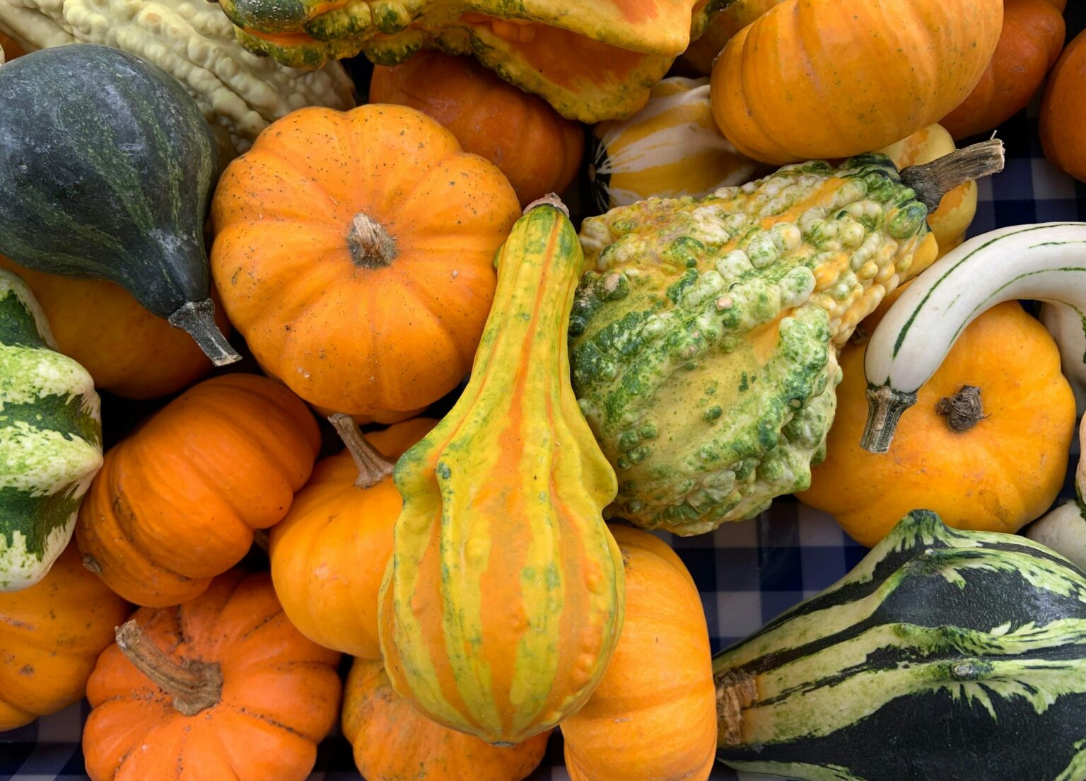 Semana de Economia em Curitiba: Ofertas Imperdíveis e Cultura Local