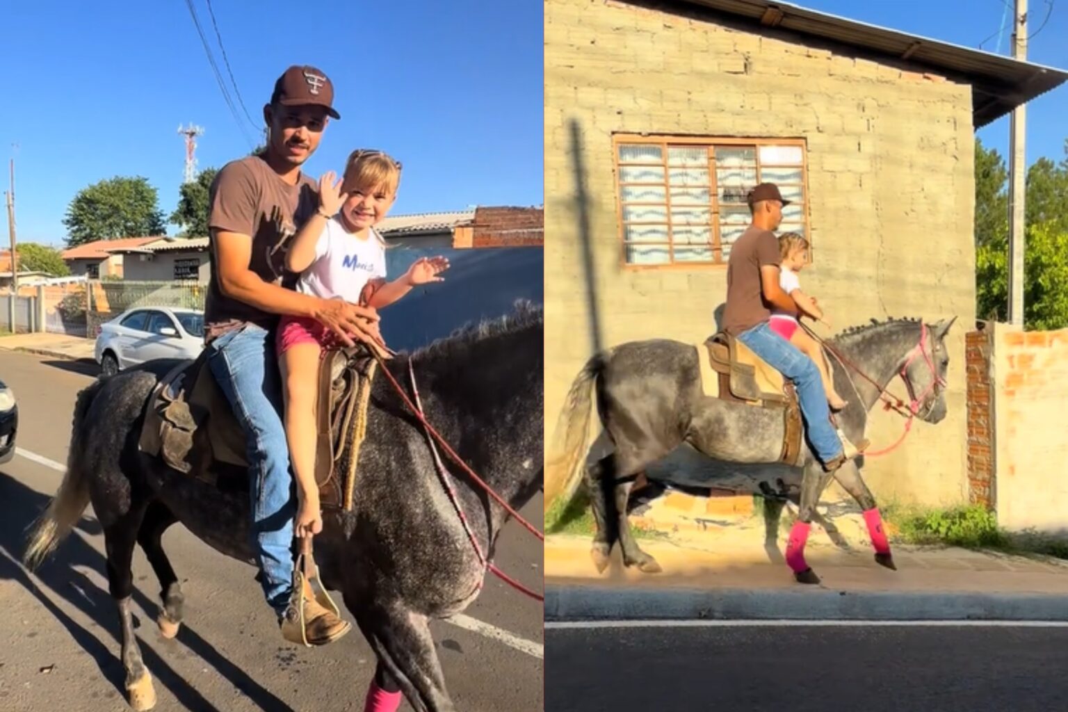 Surpresa Emocionante: Menina é Buscada de Égua pelo Padrasto em Ponta Grossa Surpresa Emocionante: Menina é Buscada de Égua pelo Padrasto em Ponta Grossa