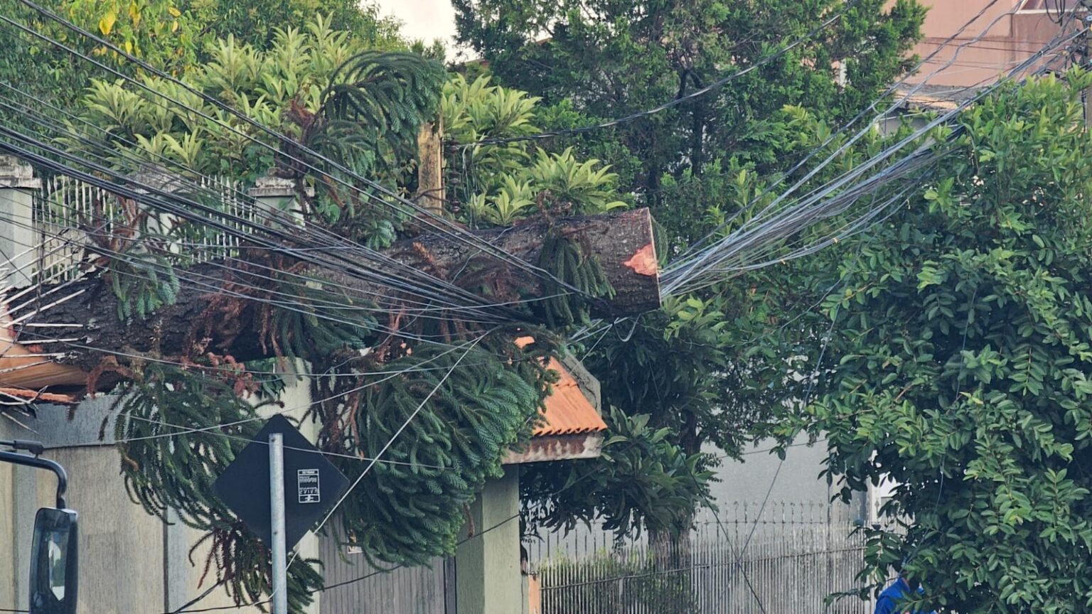 Tempestade em Curitiba: Ventos de até 70 km/h Causam Estragos e Queda de Árvores Tempestade em Curitiba: Ventos de até 70 km/h Causam Estragos e Queda de Árvores