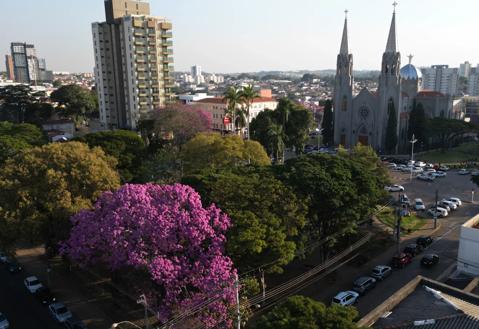 Turismo na Escola: Uma Abordagem Inovadora para Jovens em Botucatu