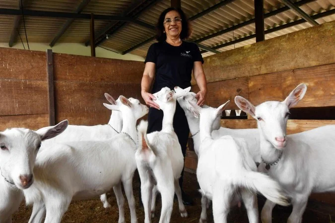 Turismo Rural no DF: Experiências Autênticas em Meio à Natureza Turismo Rural no DF: Experiências Autênticas em Meio à Natureza