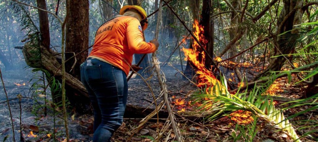 Assembleia Legislativa de Roraima Aprova Lei de Segurança Contra Incêndios Assembleia Legislativa de Roraima Aprova Lei de Segurança Contra Incêndios