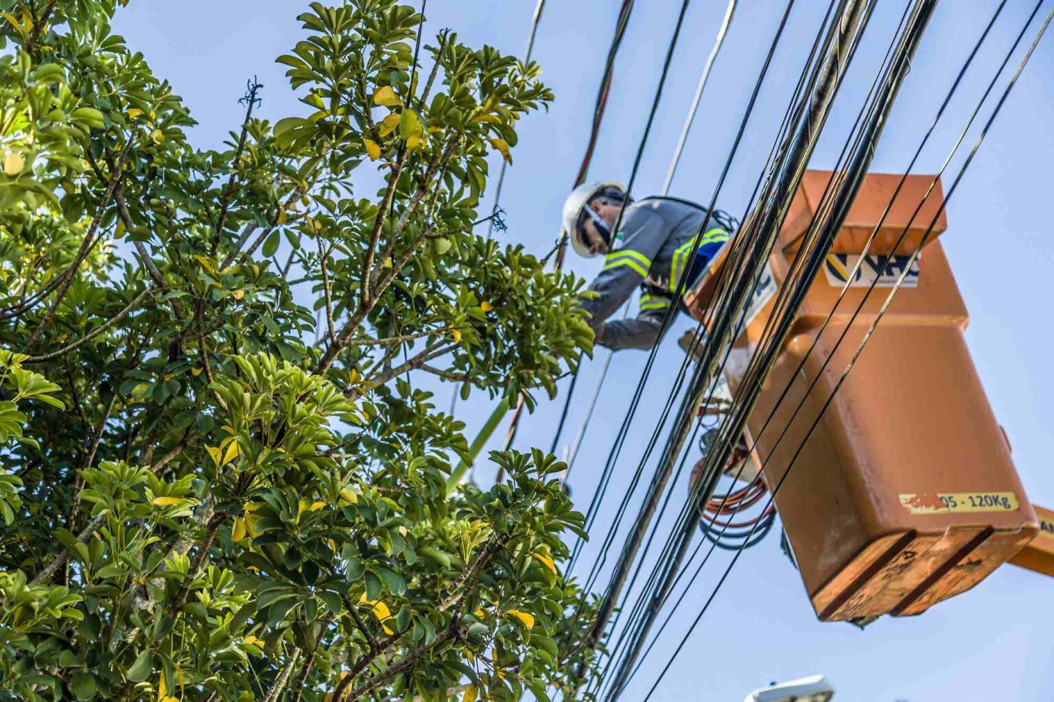 Copel Lança Pacote de Investimentos para Fortalecer Setor Agropecuário no Paraná