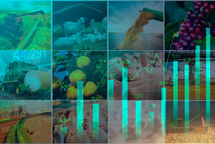 Crescimento do PIB em 2026: Agropecuária Lidera com Alta de 11,7% Crescimento do PIB em 2026: Agropecuária Lidera com Alta de 11,7%
