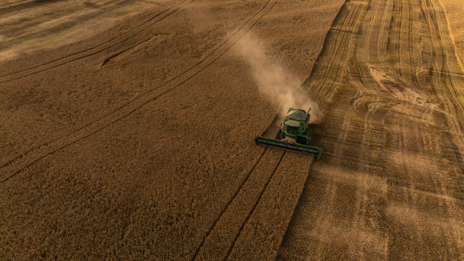 Crescimento e Desafios da Produção de Cevada no Brasil Crescimento e Desafios da Produção de Cevada no Brasil