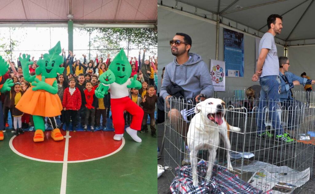 Curitiba Comemora 333 Anos com Programação Cultural Gratuita nos Bairros