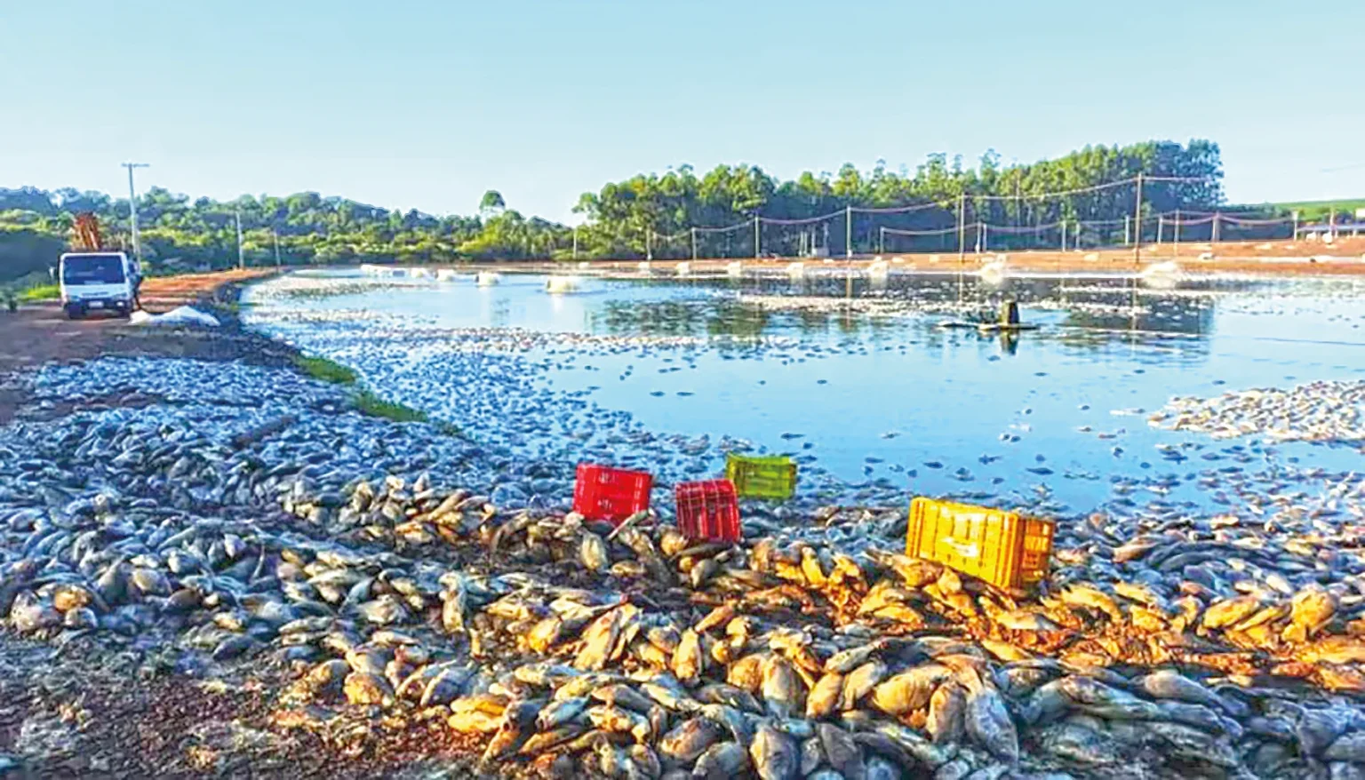 Debate sobre Apagões no Agronegócio: Projeto de Indenização Avança na Câmara