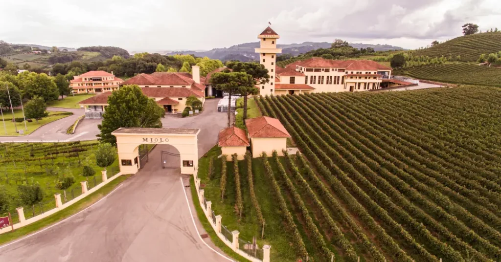 Descubra 5 Vinícolas Imperdíveis na Serra Gaúcha para Visitar Descubra 5 Vinícolas Imperdíveis na Serra Gaúcha para Visitar