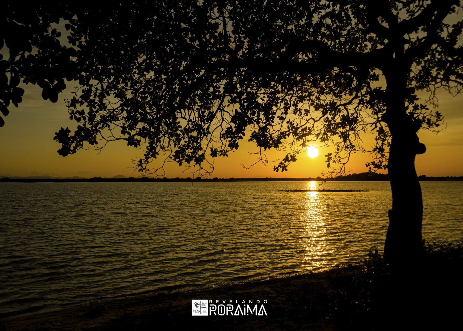 Exposição ‘Revelando Roraima’: 30 Imagens que Destacam Paisagens e Cultura do Estado