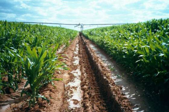 Governo de SP Apresenta Projeto para Reforçar Fundo do Agronegócio Governo de SP Apresenta Projeto para Reforçar Fundo do Agronegócio