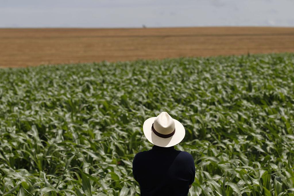 Impactos do Conflito Irã-Israel no Agronegócio Brasileiro: Desafios e Oportunidades Impactos do Conflito Irã-Israel no Agronegócio Brasileiro: Desafios e Oportunidades