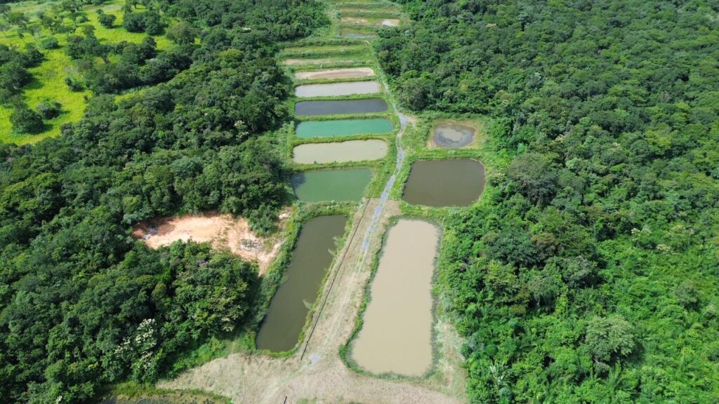 Inovação no Agronegócio: Nova Unidade da Embrapa Impulsiona Agricultura Familiar em Mato Grosso Inovação no Agronegócio: Nova Unidade da Embrapa Impulsiona Agricultura Familiar em Mato Grosso